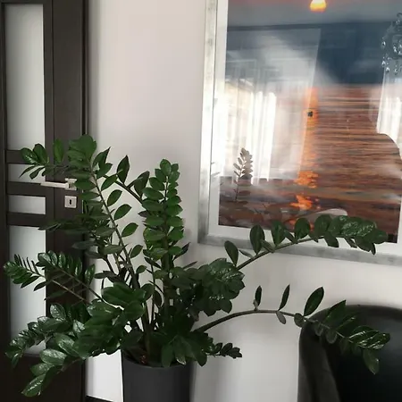 Apartament Centrum